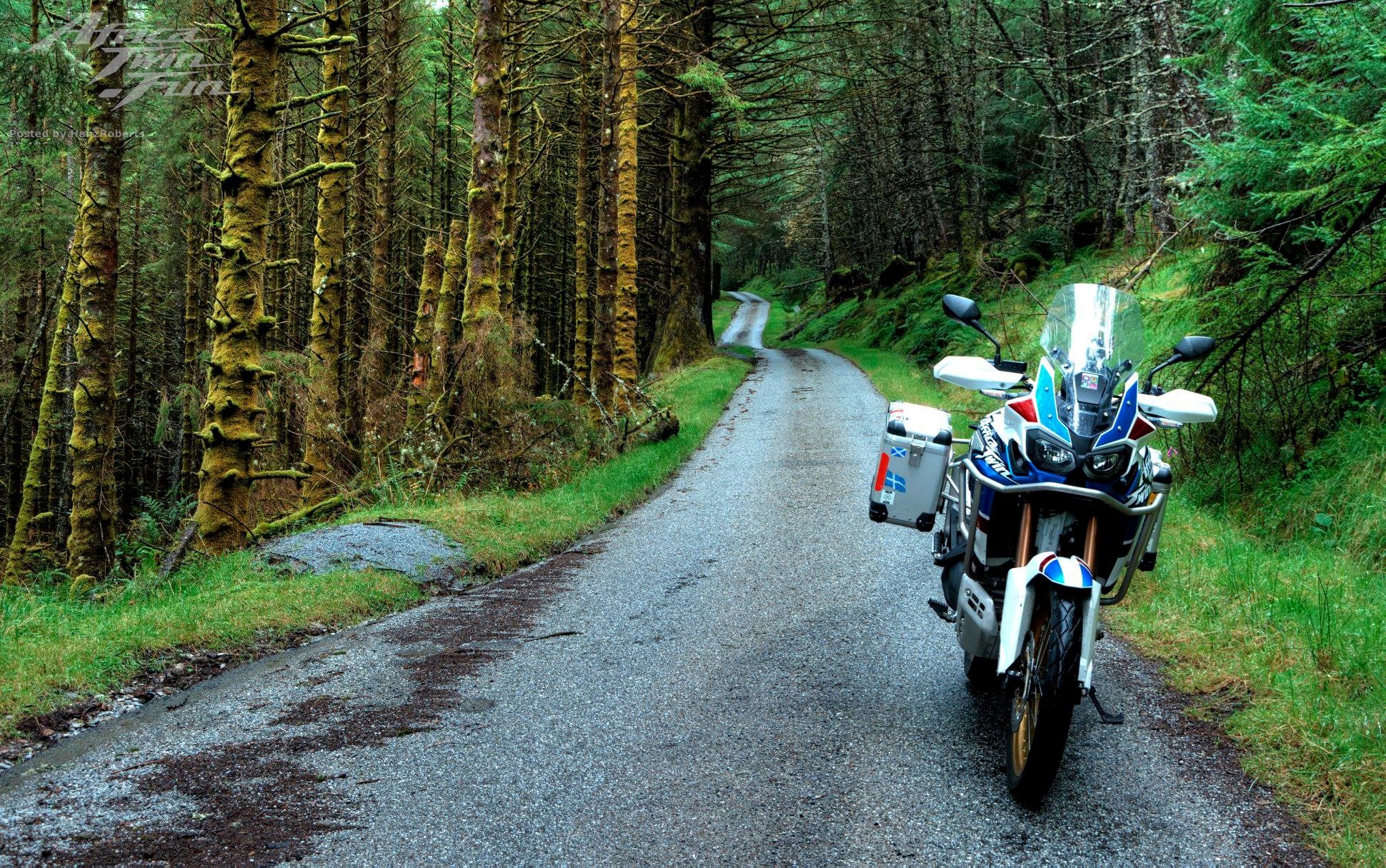 Courtesy of Wull Taylor